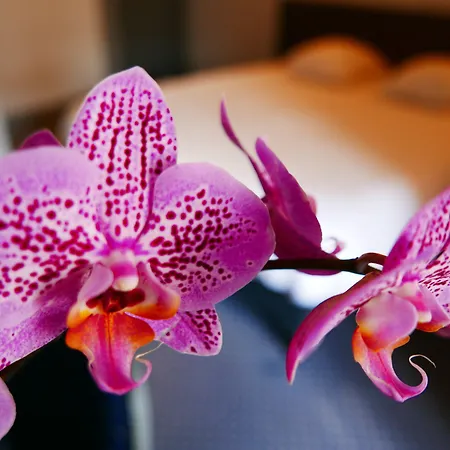 De Normandie Hotel