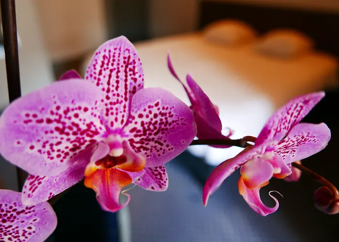 De Normandie Hotel